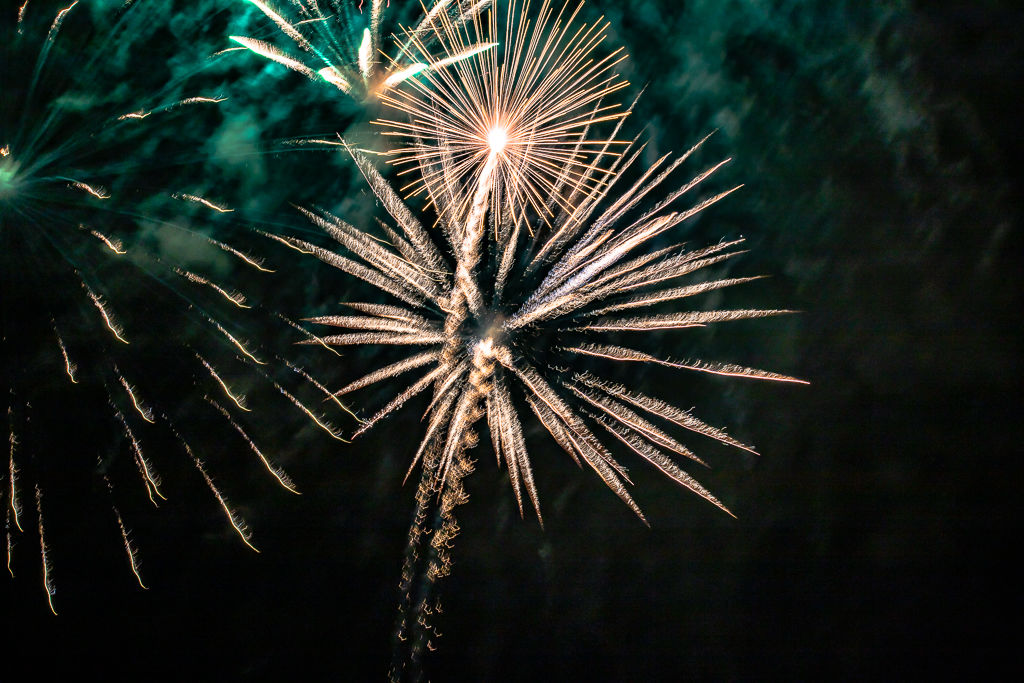 Fireworks 2020-2976.jpg